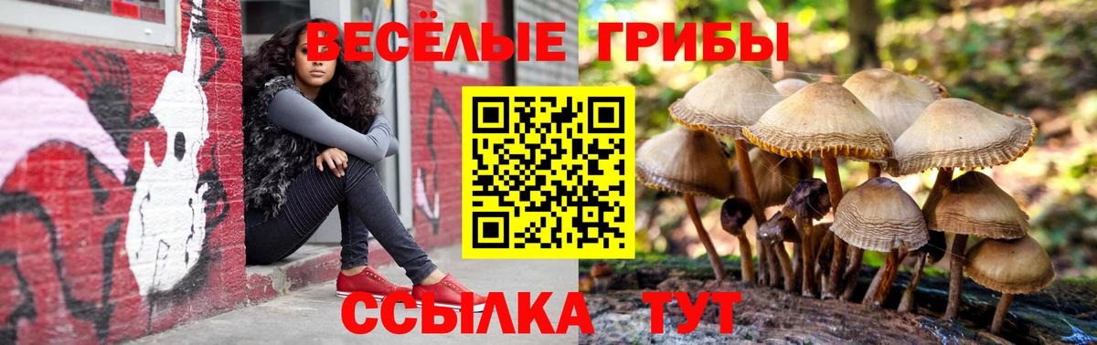 Псилоцибиновые грибы мицелий Краснодар